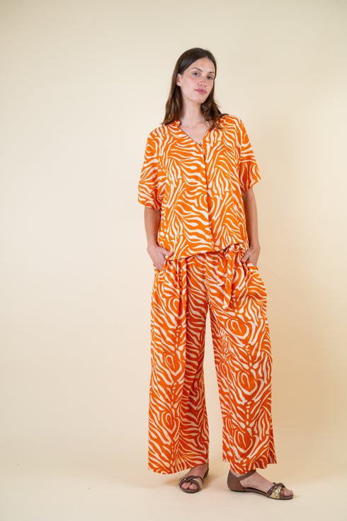 Y Why Pants Zebra